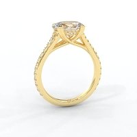 Dalia with Diamonds on Split Band