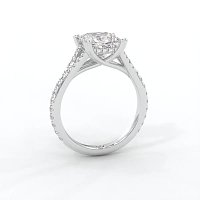 Dalia with Diamonds on Split Band
