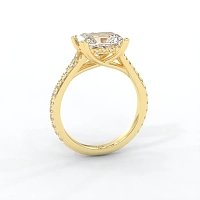 Dalia with Diamonds on Split Band