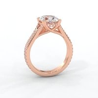 Dalia with Diamonds on Double Split Band