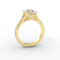 Dalia with Diamonds on Double Split Band