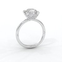Ariel 4 Claws with Diamonds on prongs