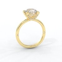 Ariel 4 Claws with Diamonds on prongs