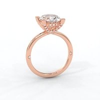 Ariel 4 Claws with Diamonds on prongs