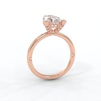 Ariel 4 Claws with Diamonds on prongs