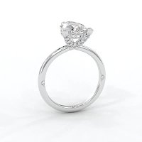 Ariel 4 Claws with Diamonds on prongs