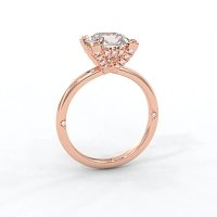 Ariel 4 Claws with Diamonds on prongs