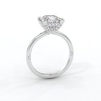 Ariel 4 Claws with Diamonds on prongs
