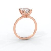 Ariel with Diamonds on Prongs