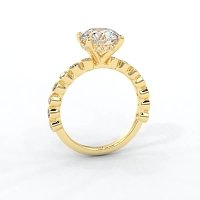 Cara 4 Claws with Oval and Round Diamonds on Band