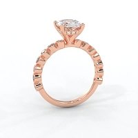 Cara 4 Claws with Oval and Round Diamonds on Band