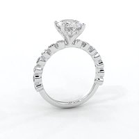 Cara 4 Claws with Oval and Round Diamonds on Band