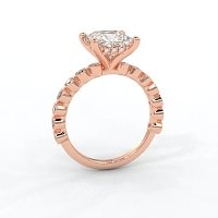 Cara 4 Claws with Oval and Round Diamonds on Band