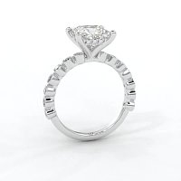 Cara 4 Claws with Oval and Round Diamonds on Band