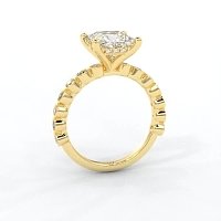 Cara 4 Claws with Oval and Round Diamonds on Band