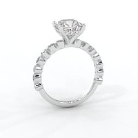Cara 4 Claws with Oval and Round Diamonds on Band