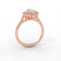 Cathedral 3 Claws with Half Halo of Round and Pear Diamonds