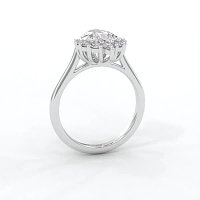 Cathedral 3 Claws with Half Halo of Round and Pear Diamonds