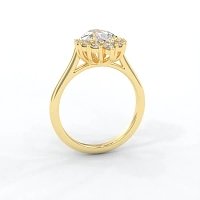 Cathedral 3 Claws with Half Halo of Round and Pear Diamonds