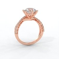 Jana 6 Claws and Double Band with Diamonds