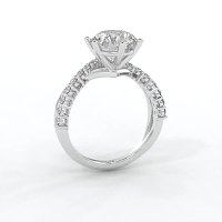 Jana 6 Claws and Double Band with Diamonds