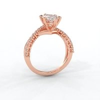 Jana 6 Claws and Double Band with Diamonds