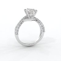 Jana 6 Claws and Double Band with Diamonds