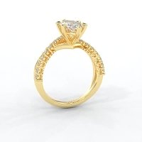 Jana 6 Claws and Double Band with Diamonds