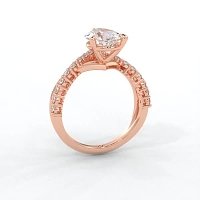 Jana 6 Claws and Double Band with Diamonds