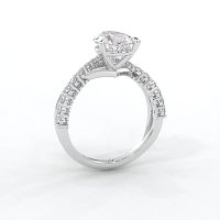Jana 6 Claws and Double Band with Diamonds