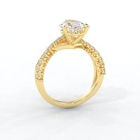 Jana 6 Claws and Double Band with Diamonds