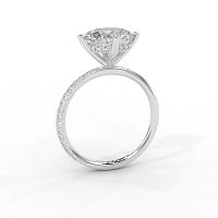 Ariel with 4 Claws with Swirled Diamonds on Band