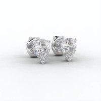 Claw Set Earrings
