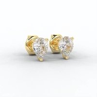 Claw Set Earrings