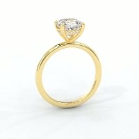 Ariel
