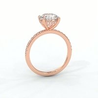 Ariel Claw Set
