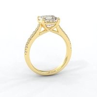 Dalia Claw Set