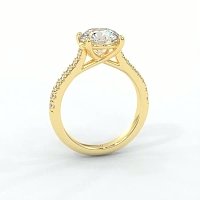 Dalia Claw Set