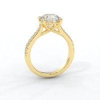 Dalia Claw Set