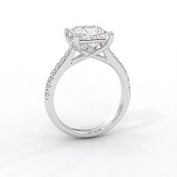 Dalia Claw Set