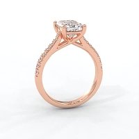 Dalia Claw Set