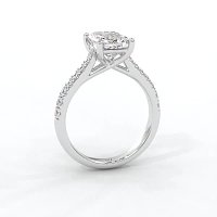 Dalia Claw Set