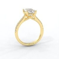 Dalia Claw Set